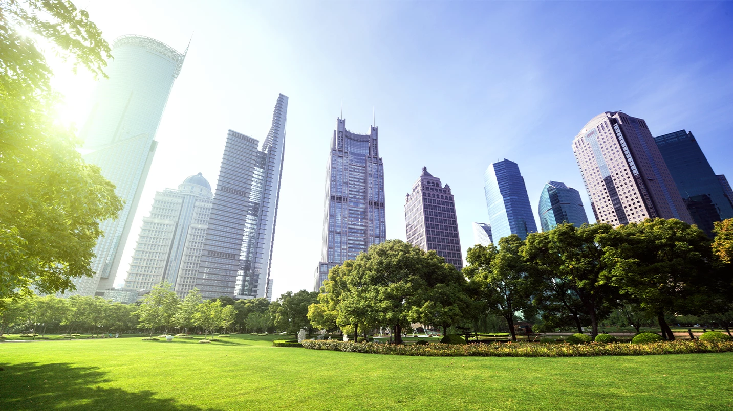 Lush green park in city. 